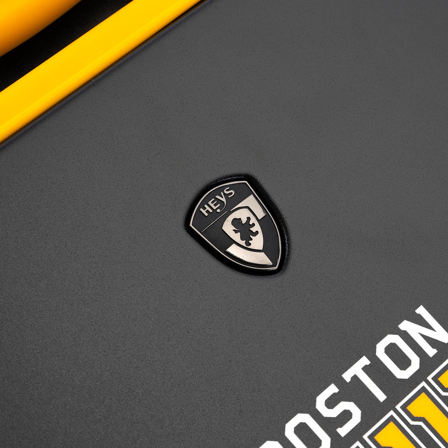 Boston Bruins