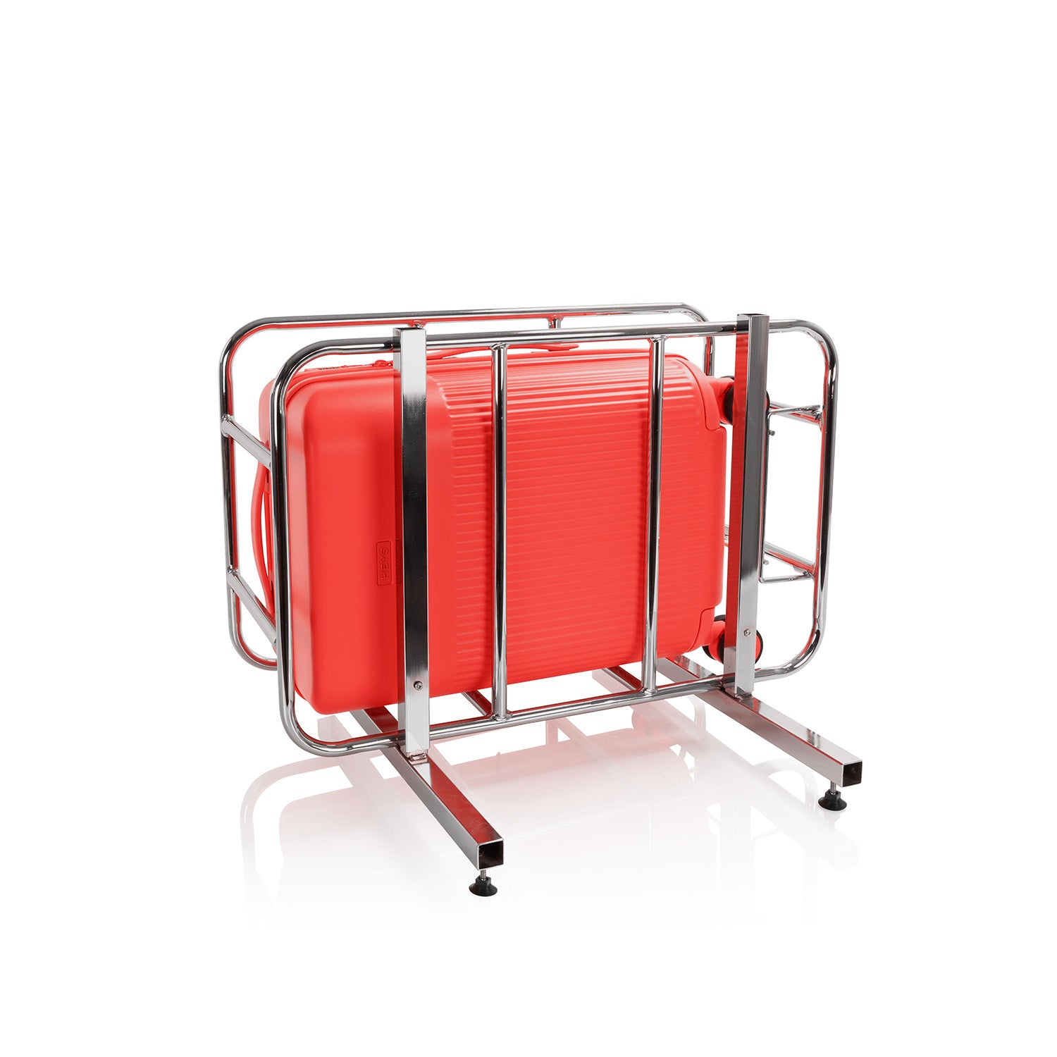 #color_Coral Reef